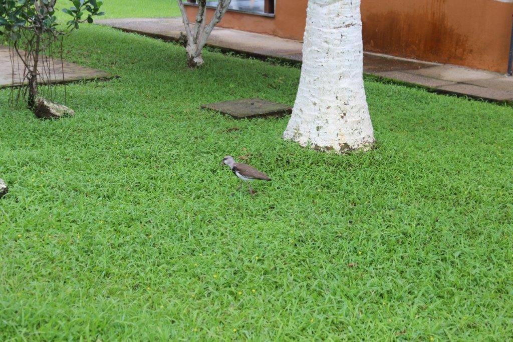Associacao Sabesp Bertioga - Sp Hotel Kültér fotó